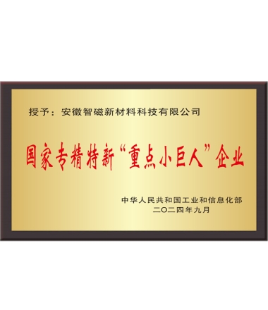 国家专精特新“重点小巨人”企业